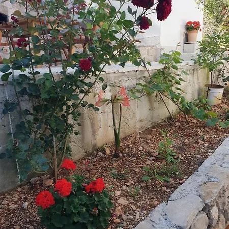 Bonkovic Apartamento Gdinj